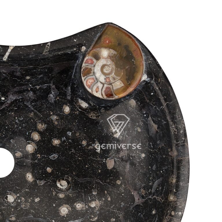 Black Fossil Sink with Ammonite - Image 2