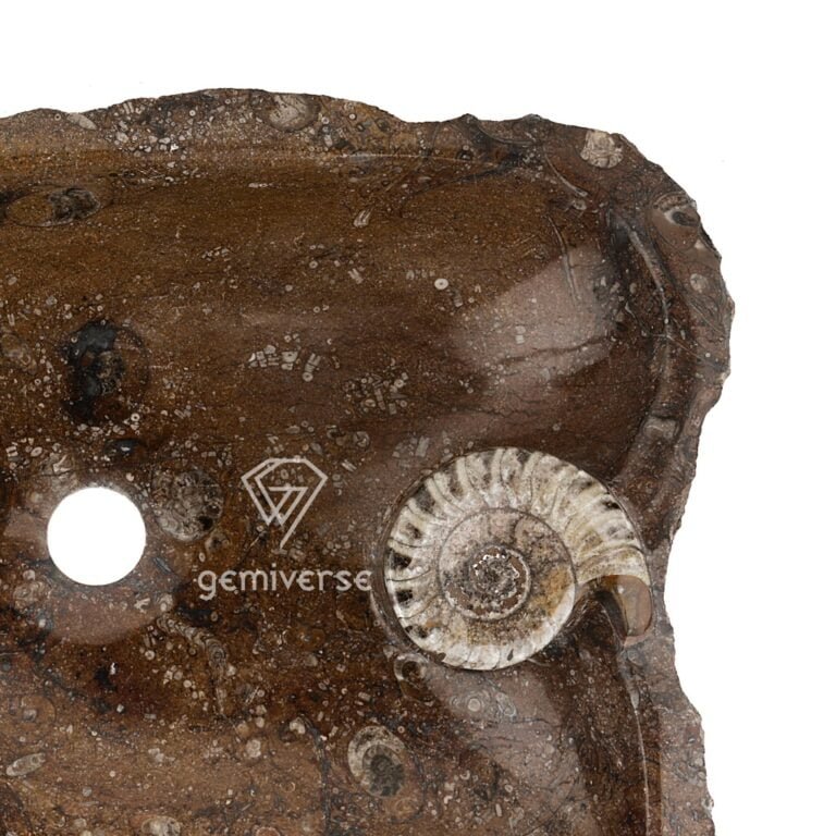 Ammonite Sink - Image 5