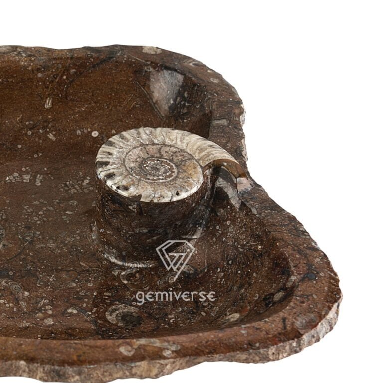 Ammonite Sink - Image 3