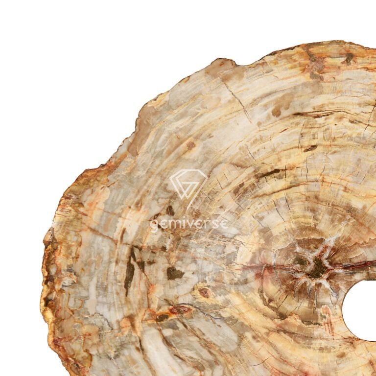 Petrified Wood Sink - Image 4