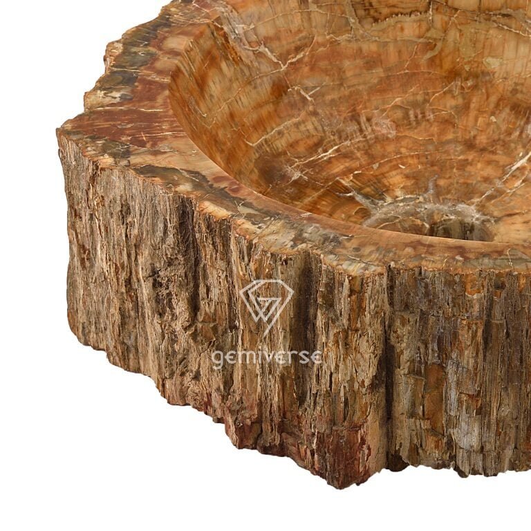 Petrified Wood Sink - Image 2